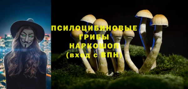 стафф Абдулино