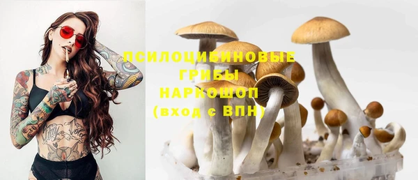 стафф Абдулино