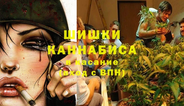 а пвп мука Абаза