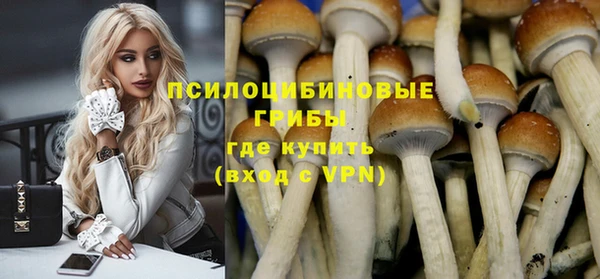 эйфоретик Абинск