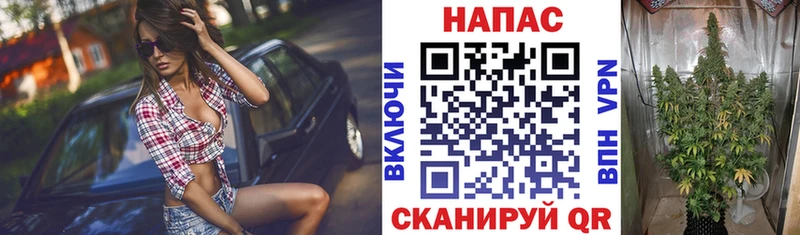 МЕГА зеркало  площадка как зайти  Конопля сатива  хочу наркоту  Донецк 